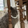 Miu Kute