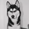 gapdoitoichet